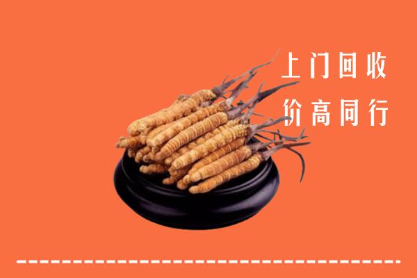 收购行情：罗庄区冬虫夏草回收多少钱每克