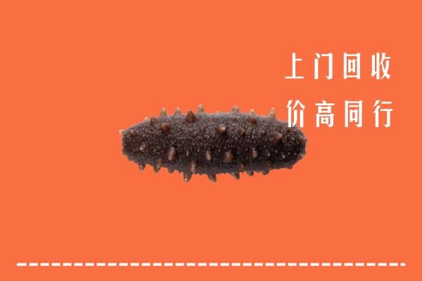 罗庄区回收海参