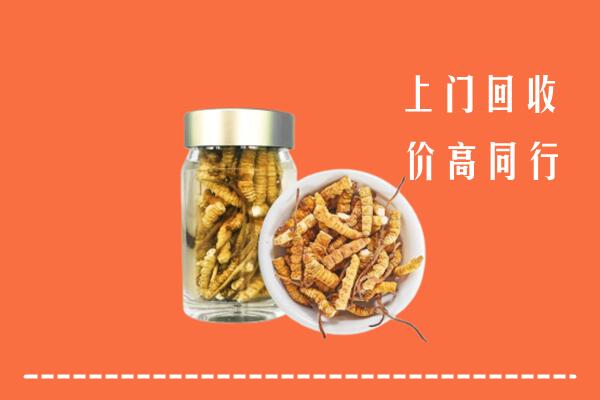 罗庄区回收冬虫夏草
