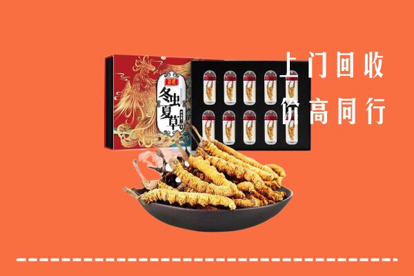 罗庄区回收虫草
